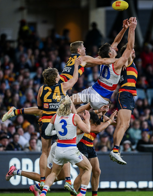 AFL 2024 Round 22 - Adelaide v Western Bulldogs - A-52719535