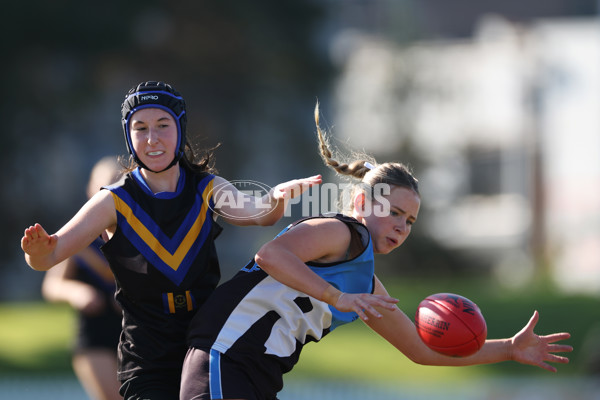 2024 Herald Sun Shield - Division 1 Intermediate Girls Grand Final - A-52723798