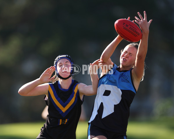 2024 Herald Sun Shield - Division 1 Intermediate Girls Grand Final - A-52723800