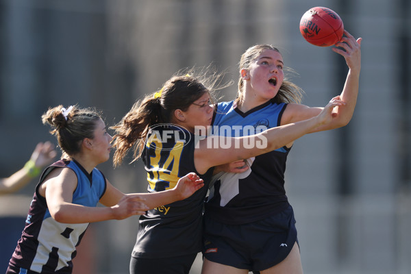 2024 Herald Sun Shield - Division 1 Intermediate Girls Grand Final - A-52723810