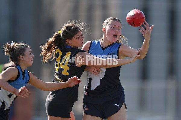 2024 Herald Sun Shield - Division 1 Intermediate Girls Grand Final - A-52723811