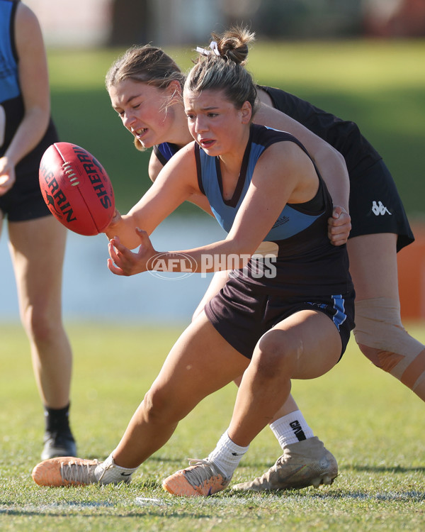 2024 Herald Sun Shield - Division 1 Intermediate Girls Grand Final - A-52723813