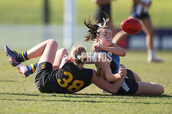 2024 Herald Sun Shield - Division 1 Intermediate Girls Grand Final - A-52796337