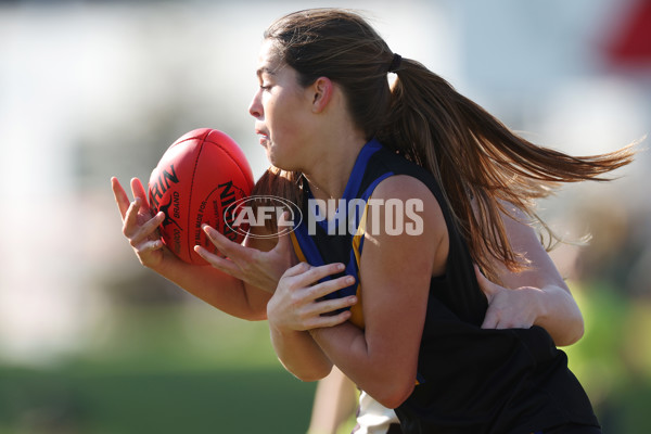 2024 Herald Sun Shield - Division 1 Intermediate Girls Grand Final - A-52796345