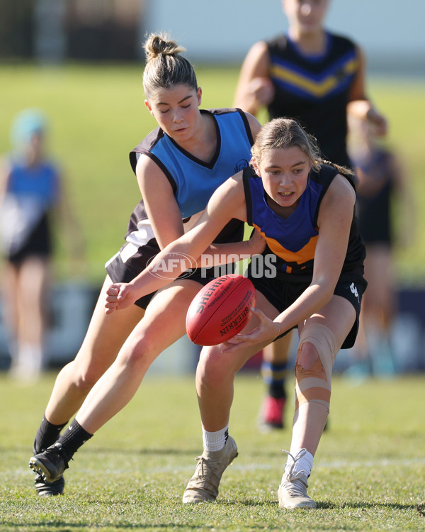 2024 Herald Sun Shield - Division 1 Intermediate Girls Grand Final - A-52796348