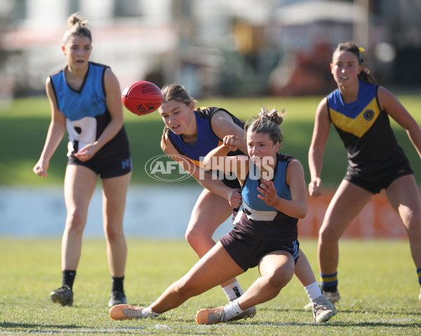 2024 Herald Sun Shield - Division 1 Intermediate Girls Grand Final - A-52796350