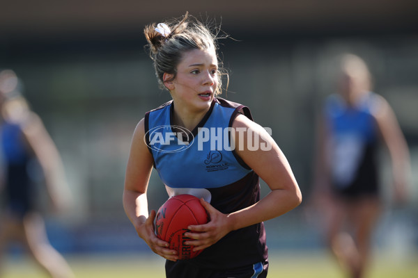 2024 Herald Sun Shield - Division 1 Intermediate Girls Grand Final - A-52796395