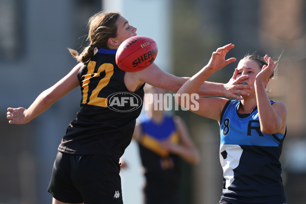 2024 Herald Sun Shield - Division 1 Intermediate Girls Grand Final - A-52797149