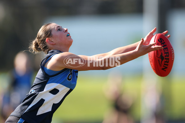 2024 Herald Sun Shield - Division 1 Intermediate Girls Grand Final - A-52797159