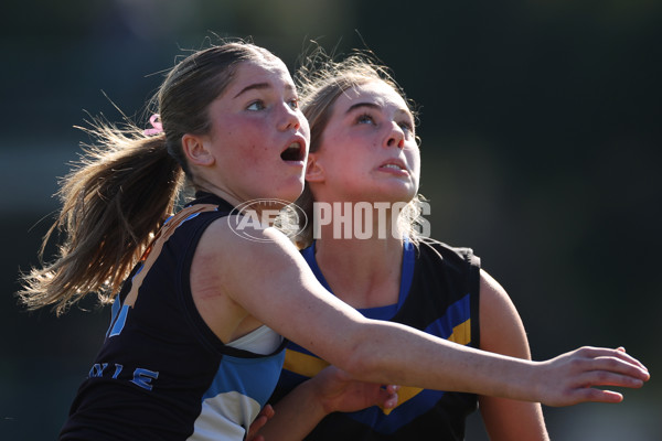 2024 Herald Sun Shield - Division 1 Intermediate Girls Grand Final - A-52797167