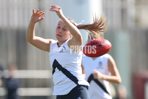 2024 Herald Sun Shield - Division 1 Senior Girls Grand Final - A-52801512