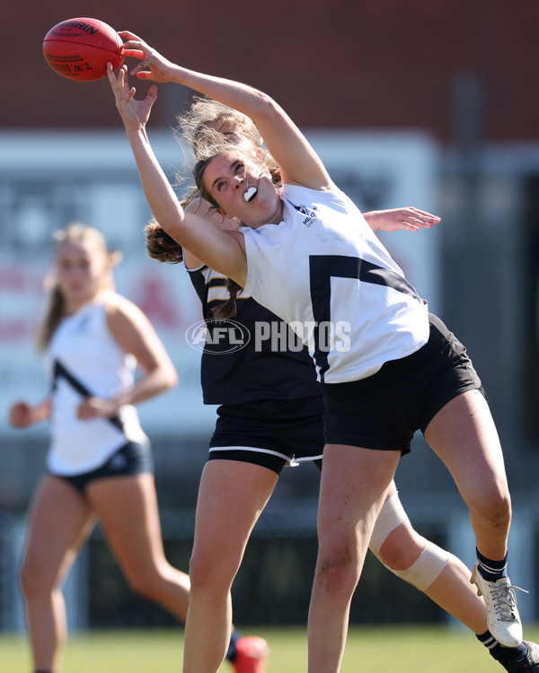 2024 Herald Sun Shield - Division 1 Senior Girls Grand Final - A-52801562