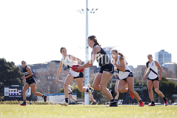 2024 Herald Sun Shield - Division 1 Senior Girls Grand Final - A-52801707