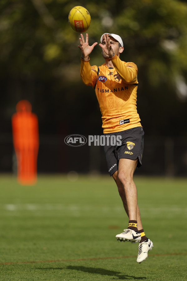 AFL 2024 Training - Hawthorn 140824 - A-52811422