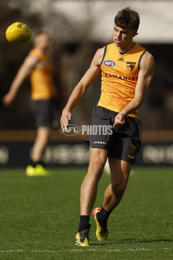 AFL 2024 Training - Hawthorn 140824 - A-52811423