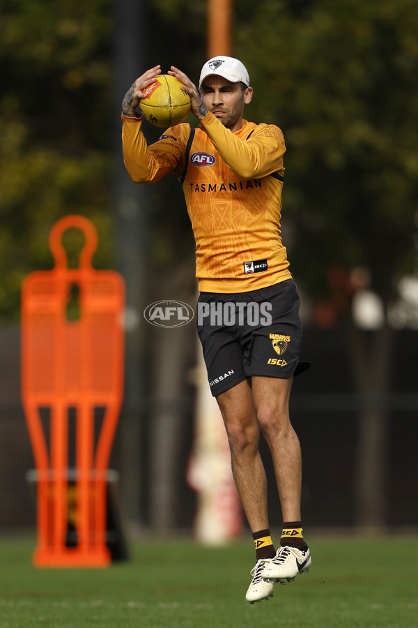 AFL 2024 Training - Hawthorn 140824 - A-52811427