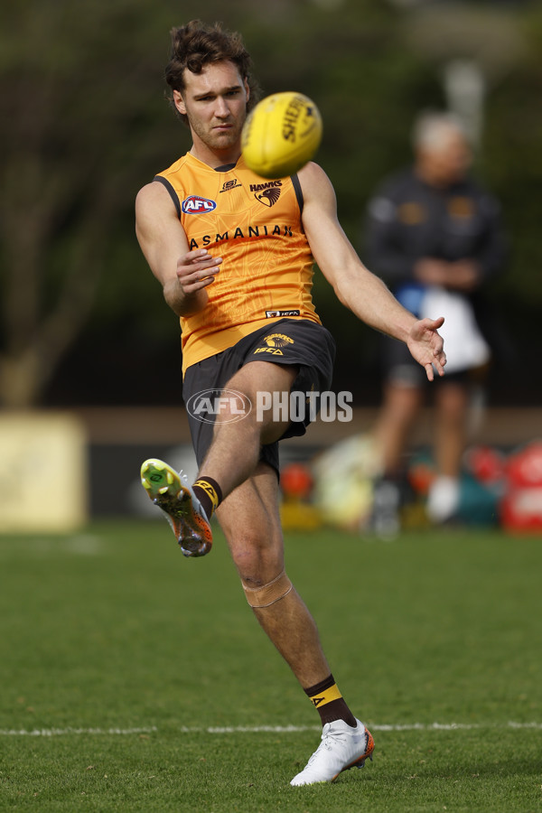 AFL 2024 Training - Hawthorn 140824 - A-52811428