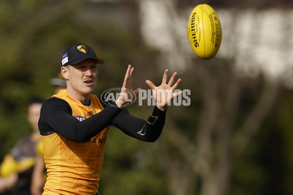 AFL 2024 Training - Hawthorn 140824 - A-52811433