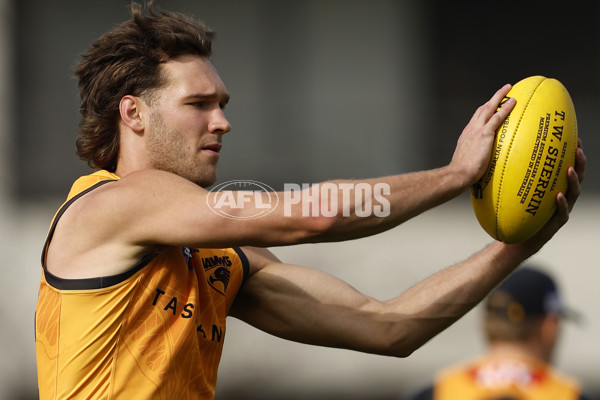 AFL 2024 Training - Hawthorn 140824 - A-52811434