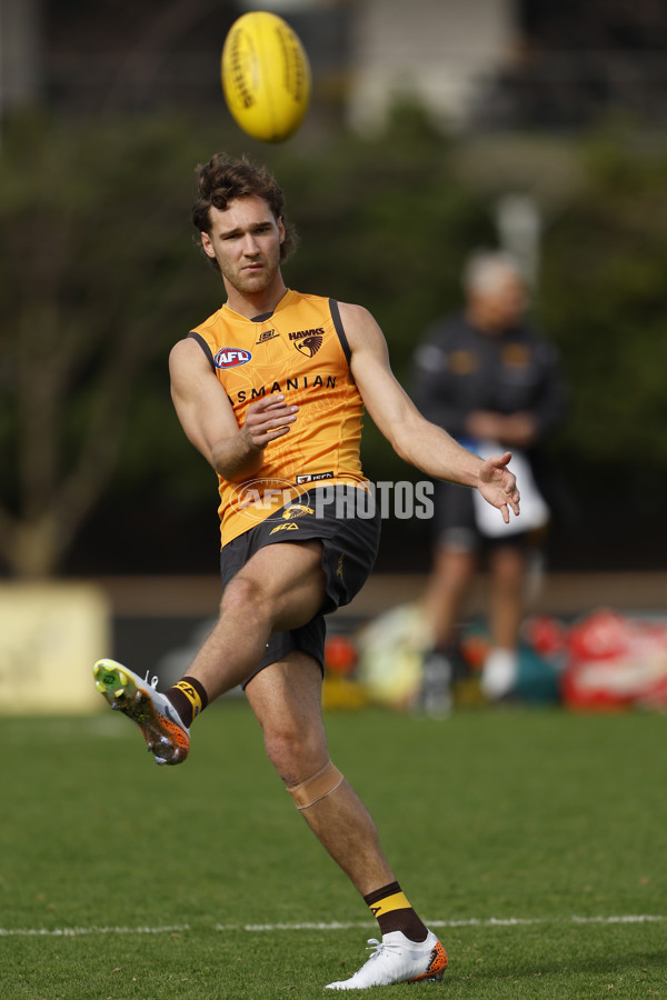 AFL 2024 Training - Hawthorn 140824 - A-52811539