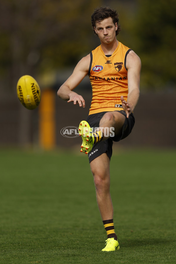 AFL 2024 Training - Hawthorn 140824 - A-52811545