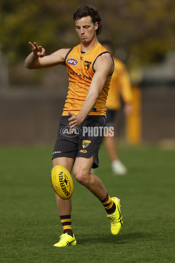 AFL 2024 Training - Hawthorn 140824 - A-52811546