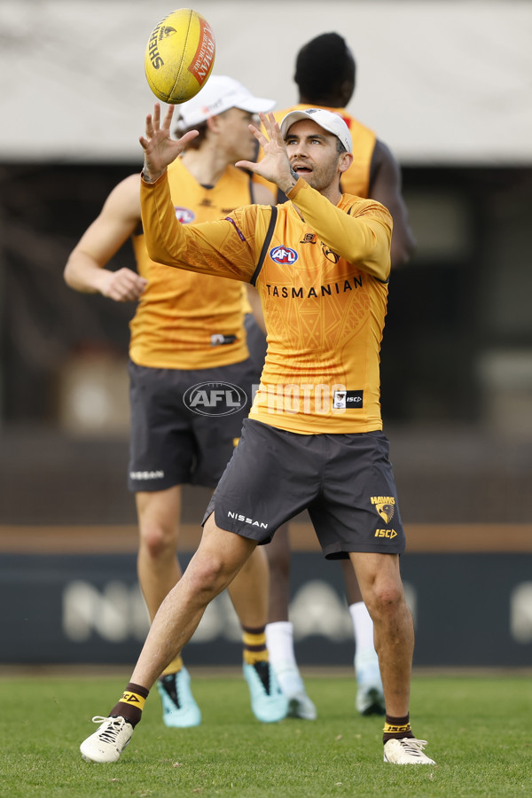 AFL 2024 Training - Hawthorn 140824 - A-52811576