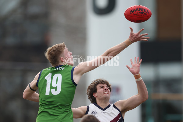 2024 Herald Sun Shield - Division 1 Senior Boys Grand Final - A-52822194