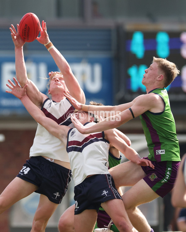 2024 Herald Sun Shield - Division 1 Senior Boys Grand Final - A-52840720