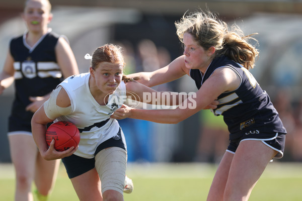 2024 Herald Sun Shield - Division 1 Senior Girls Grand Final - A-52870777