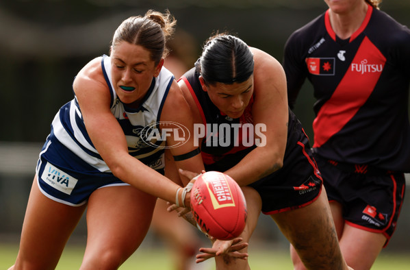 AFLW 2024 Practice Match - Essendon v Geelong - A-53061269