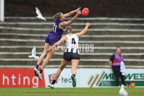 AFLW 2024 Practice Match - Fremantle v Collingwood - A-53061676