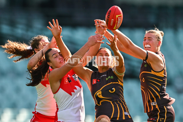 AFLW 2024 Practice Match - Sydney v Hawthorn - A-53066506