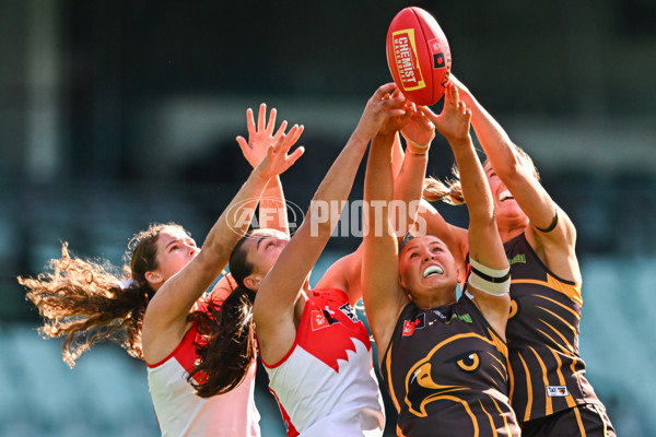 AFLW 2024 Practice Match - Sydney v Hawthorn - A-53067446