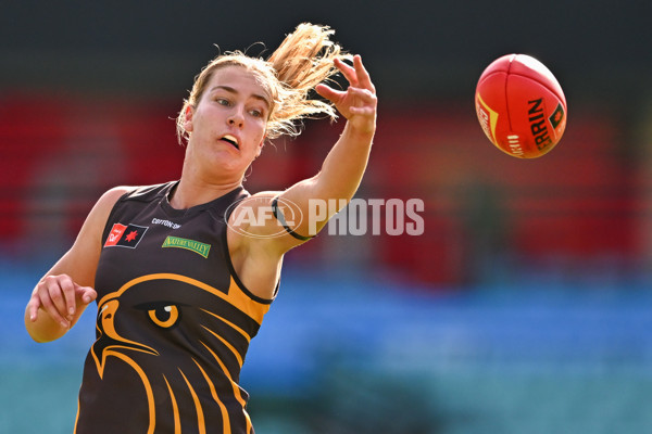 AFLW 2024 Practice Match - Sydney v Hawthorn - A-53067475