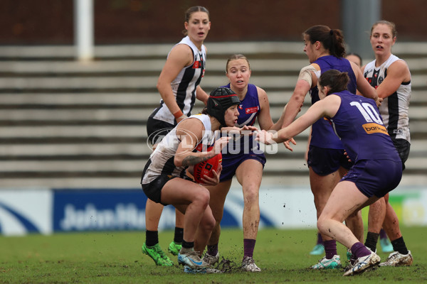 AFLW 2024 Practice Match - Fremantle v Collingwood - A-53070059