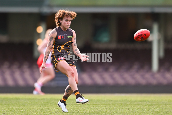 AFLW 2024 Practice Match - Sydney v Hawthorn - A-53070082