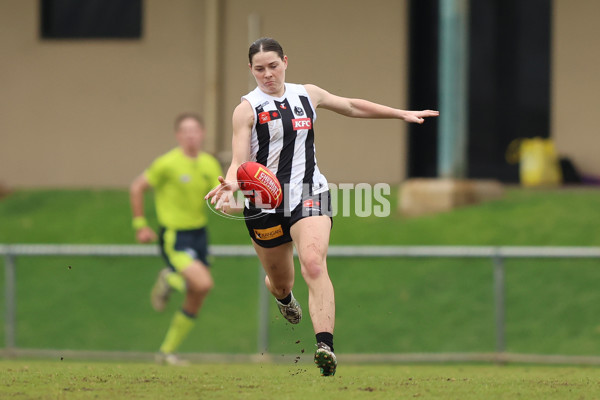 AFLW 2024 Practice Match - Fremantle v Collingwood - A-53075000