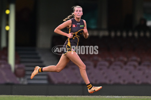 AFLW 2024 Practice Match - Sydney v Hawthorn - A-53075042