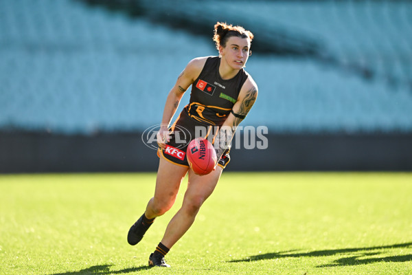 AFLW 2024 Practice Match - Sydney v Hawthorn - A-53075043