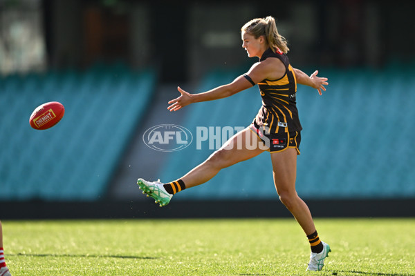 AFLW 2024 Practice Match - Sydney v Hawthorn - A-53075709