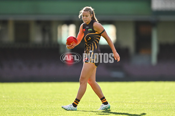 AFLW 2024 Practice Match - Sydney v Hawthorn - A-53075712