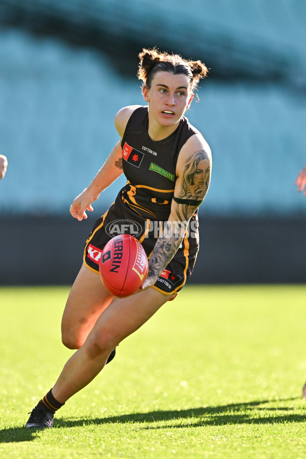 AFLW 2024 Practice Match - Sydney v Hawthorn - A-53075734