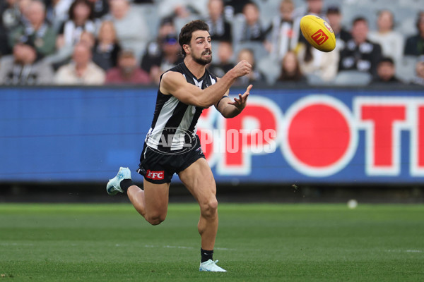 AFL 2024 Round 23 - Collingwood v Brisbane - A-53078319