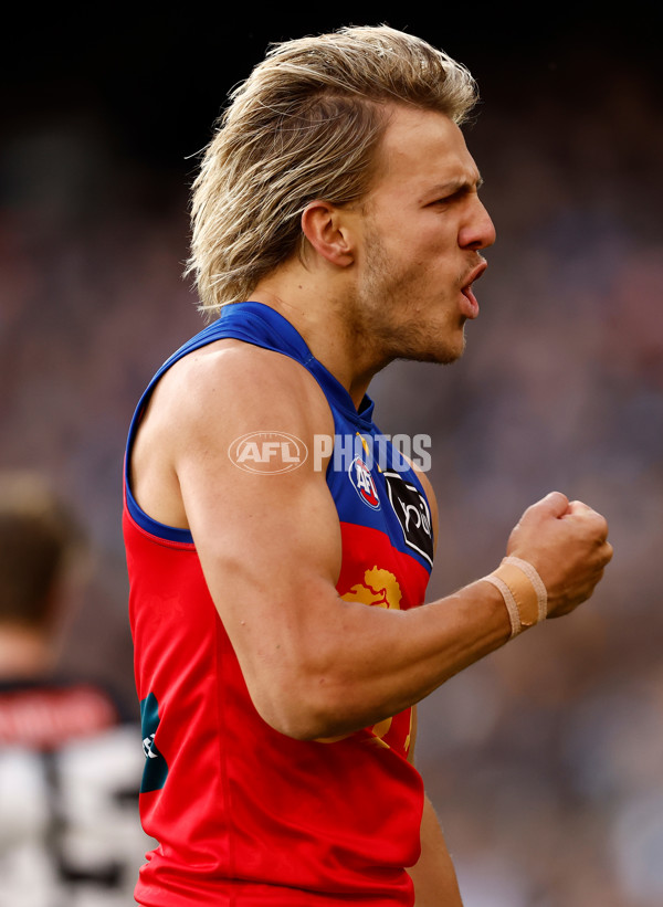 AFL 2024 Round 23 - Collingwood v Brisbane - A-53078704