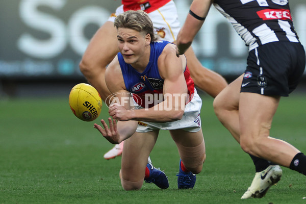 AFL 2024 Round 23 - Collingwood v Brisbane - A-53080785