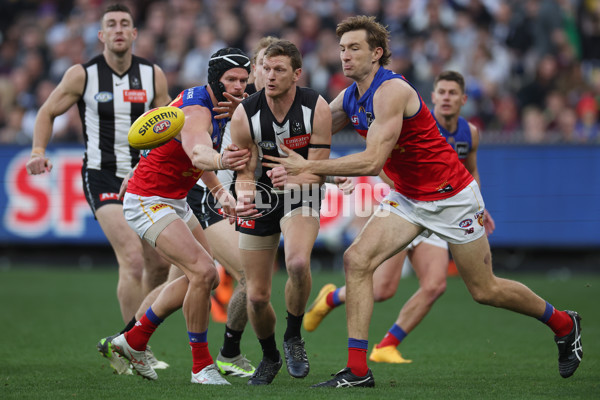 AFL 2024 Round 23 - Collingwood v Brisbane - A-53081167