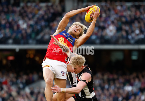 AFL 2024 Round 23 - Collingwood v Brisbane - A-53081188