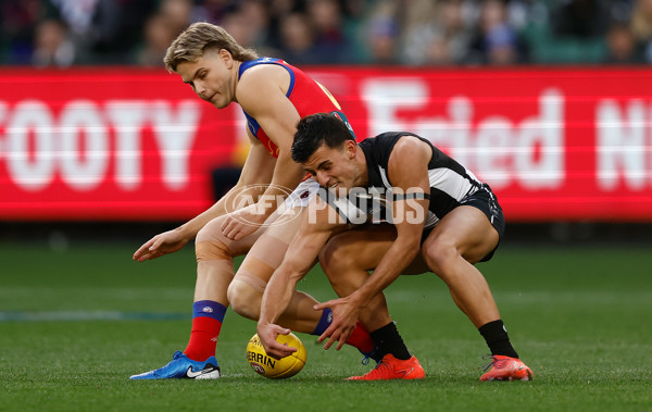AFL 2024 Round 23 - Collingwood v Brisbane - A-53081194