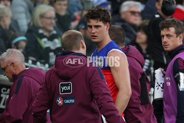 AFL 2024 Round 23 - Collingwood v Brisbane - A-53081248